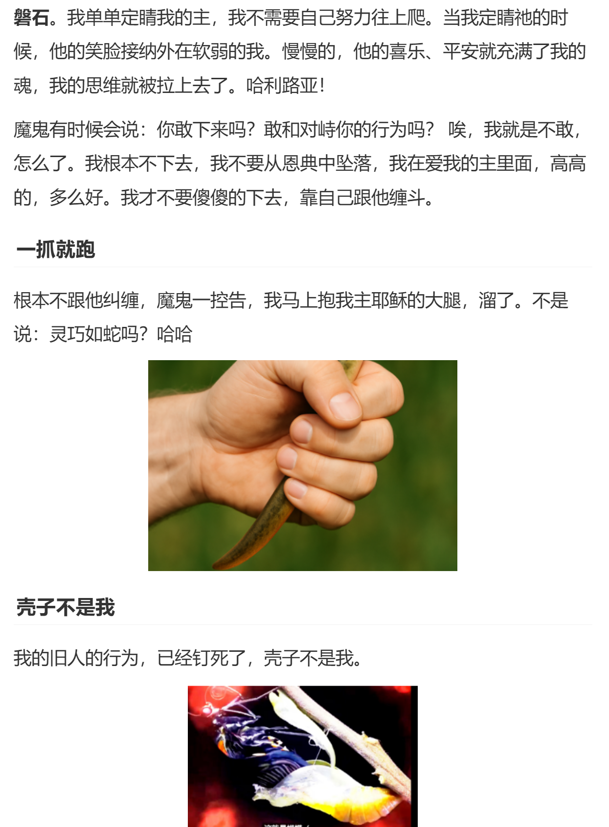 image-20250515171612205