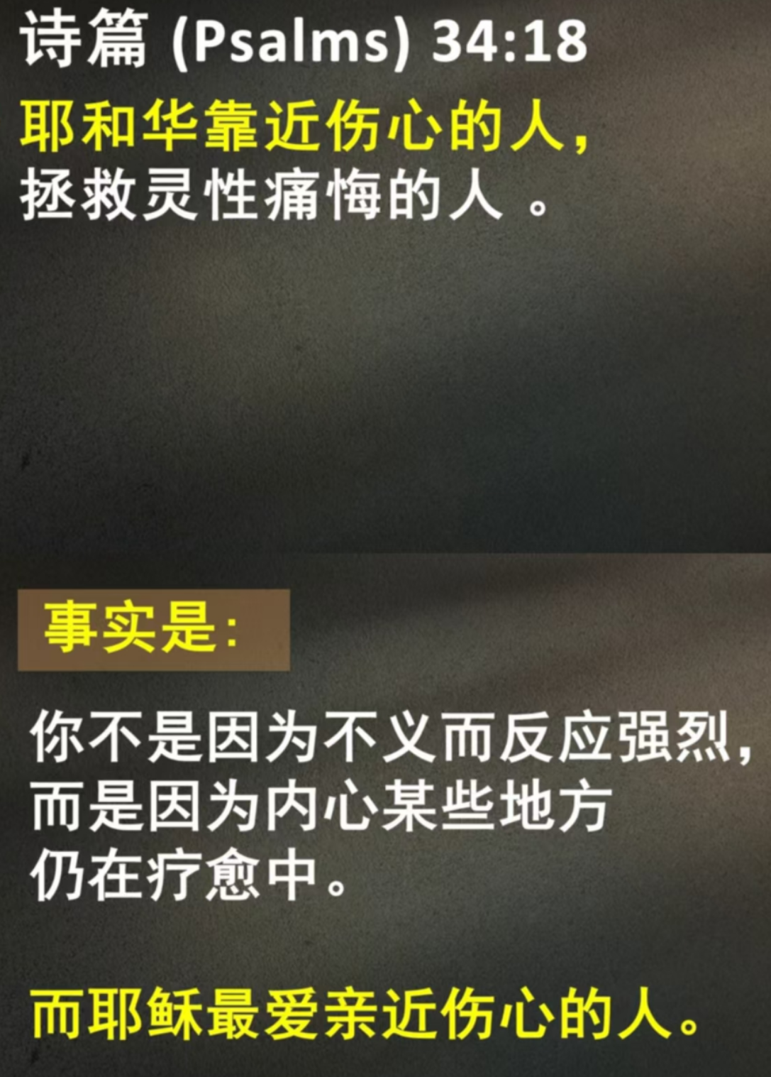 image-20250523114119173