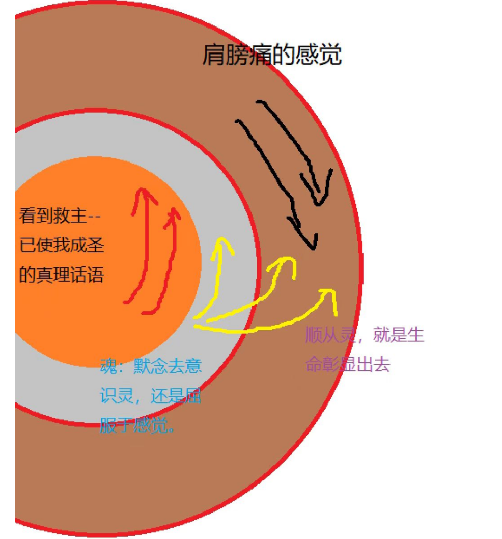 image-20250516145415061