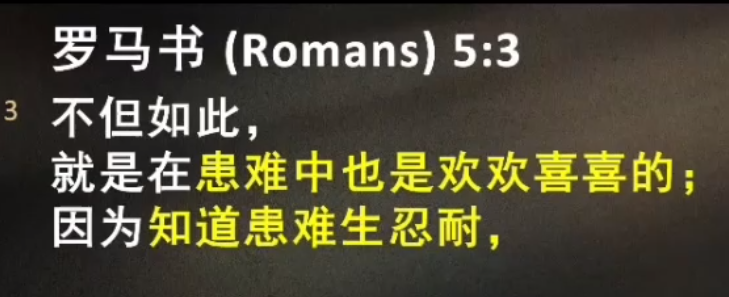 image-20250516161327697