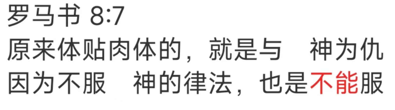 image-20250806161217389